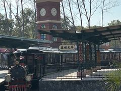 -合肥滨湖国家森林公园