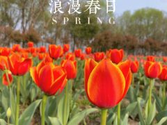 -白塔湖国家湿地公园