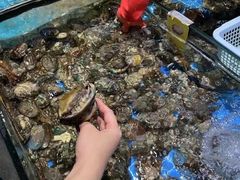 -三亚火车头万人海鲜广场