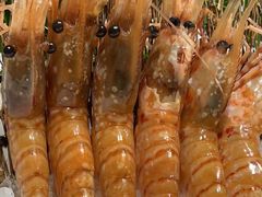 -虹料理·日料放题(悠方店)