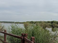 -西青郊野公园