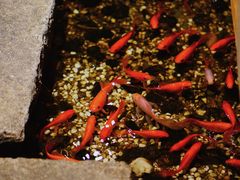 -邈墨茶馆(凤起路店)