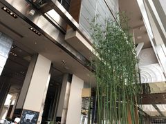 -上海柏悦酒店·世纪100牛排馆
