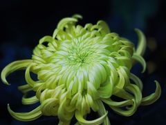 -共青国家森林公园-售票处