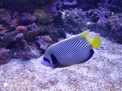 -成都浩海立方海洋公园