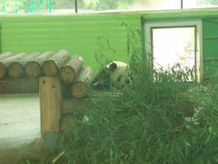 -辛玛王国游乐园