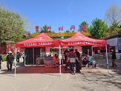 -曹州牡丹园