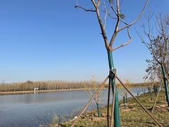 -东郊湿地公园
