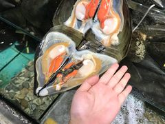 -蚝专家(北滘店)