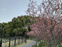 -黄兴公园