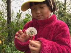 -前小桔亲子创意农场·草莓采摘·露营烧烤
