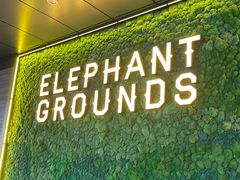 -大象园ELEPHANT GROUNDS(万象天地店)