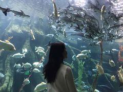 -波塞冬旅游度假区