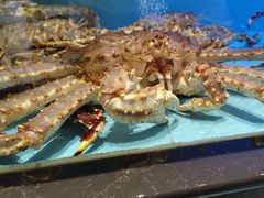 -阿伟海鲜楼·福建菜(延寿店)