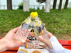 -武汉动物园