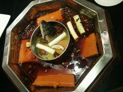 -蜀九香火锅(九眼桥店)