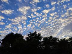 -老家信阳菜(北京路店)