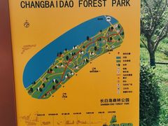 -长白岛森林公园