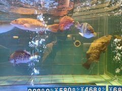 -海大大蒸汽海鲜餐厅·粤菜·特色小炒(欢乐颂店)