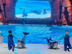 -哈尔滨波塞冬海底世界