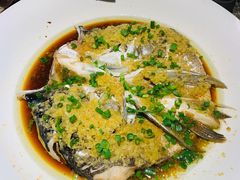 鱼头诱惑-绿茶餐厅(深圳龙华天虹购物中心店)