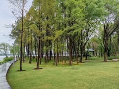 -渤公岛生态公园
