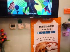 -纳吉亚猫专科动物医院博雅分院