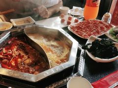 -鼎汇丰重庆老火锅(鞍顺园店)