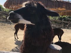 -宁波野生动物园