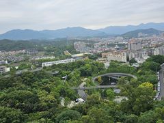 -福道