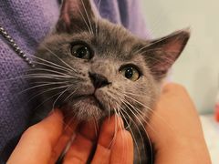 -平行世界·猫咖(首经贸店)