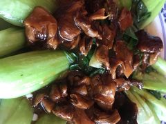 野生口蘑烧油菜-王村姑老土炕莜面村(桥东店)
