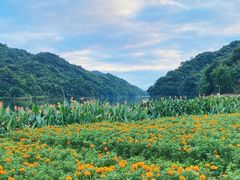 -广州市石门国家森林公园