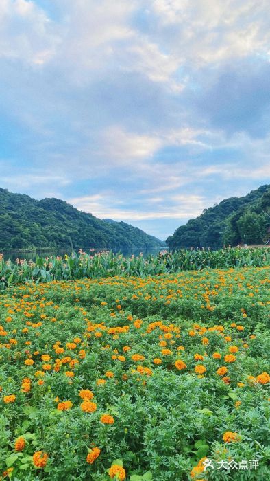 广州市石门国家森林公园图片