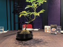 -逸馥荟(人广来福士店)