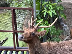 -清迈夜间动物园