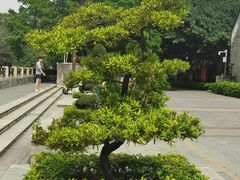 -黄埔古港