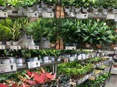 -鹿岛生活(龙湖上城天街店)