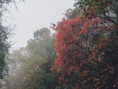 -终南山南五台景区