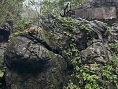 -陶祖圣境风景区