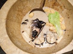 -云海肴云南菜·蒸汽石锅鱼(青岛万象城店)
