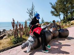 -广东惠东海龟国家级自然保护区