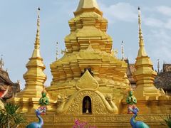 -西双版纳傣族园