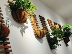 -7017浙菜•建德味(市心北路店)
