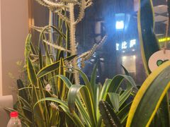 -隅乐胡椒虾·台湾菜·团建(皇岗店)