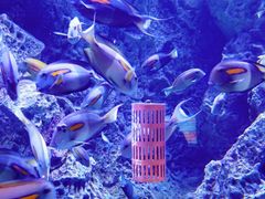 -成都浩海立方海洋公园