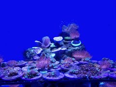 -青岛海底世界-水族馆
