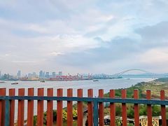 -芒洲湿地公园