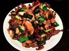 -三酉星·枫·山風与野菜(上海总店)