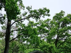 -WeLope紫金山探险公园